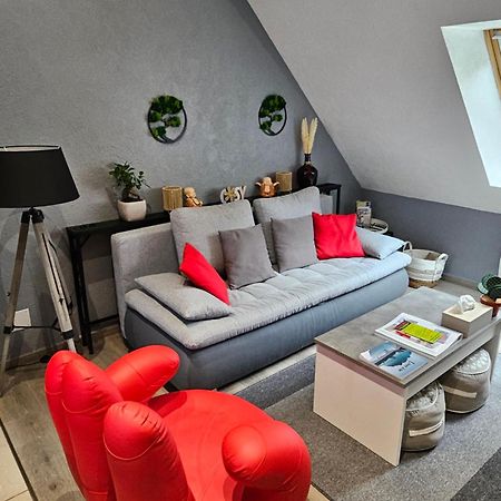 Gite Vallee De Munster 3 Etoiles Chez Flavie & Ludo Muhlbach-sur-Munster Exterior foto